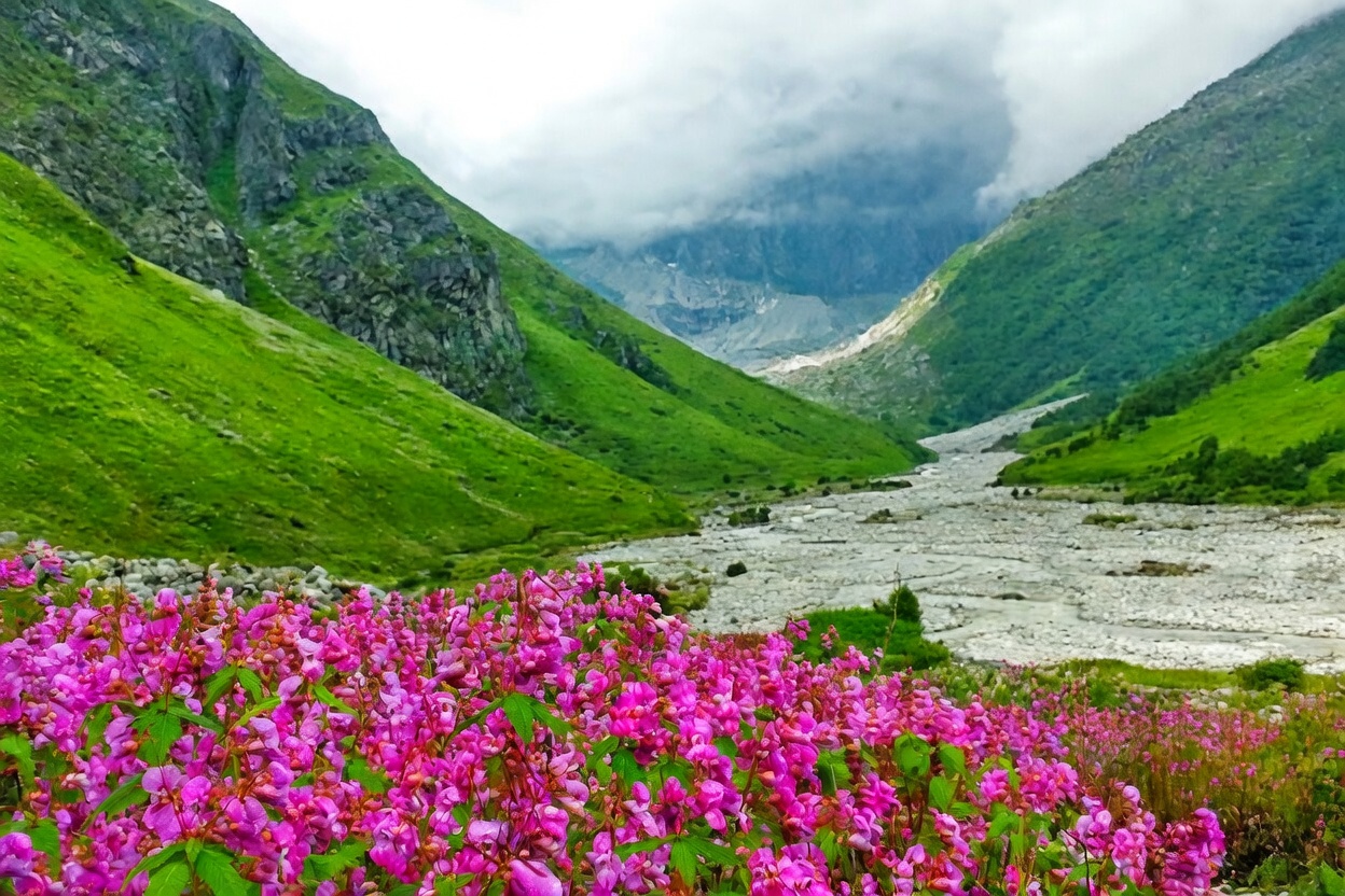 Valley of Flowers Trek